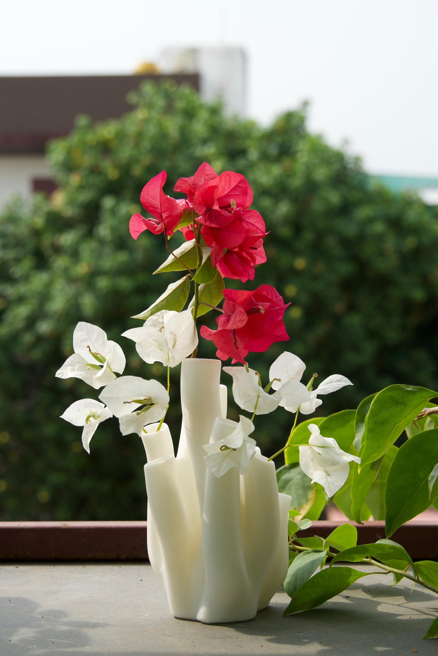 Coral Vase